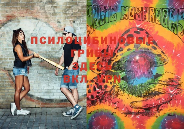 эйфоретик Белокуриха
