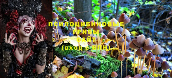 марихуана Беломорск
