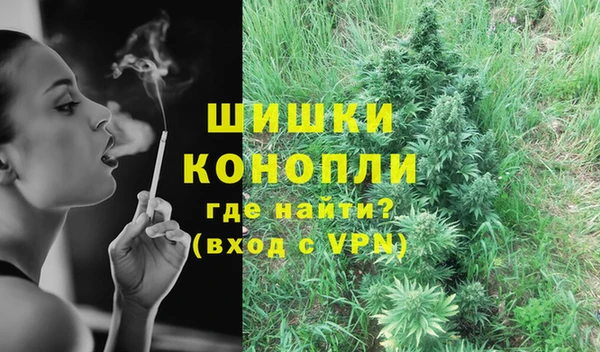 эйфоретик Белокуриха