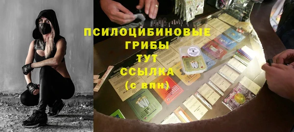 эйфоретик Белокуриха