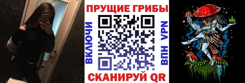 Псилоцибиновые грибы Psilocybe  как найти наркотики  Мезень 